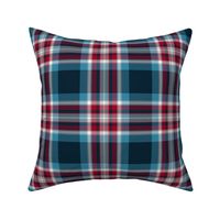 Holyrood tartan - 6" silver