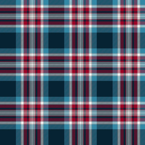 Holyrood tartan - 6" silver