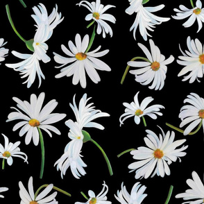 Daisies - large