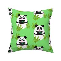 Meditation  Panda-Bamboo on Green  