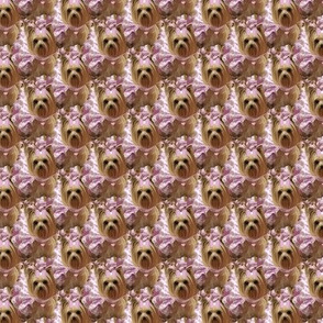 Yorkie Design Full - 1 1/2"