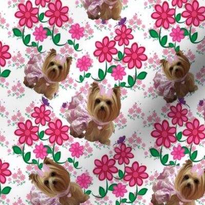 Yorkie Pink Posy 2" or less