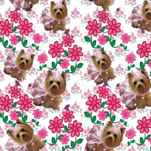 Yorkie Pink Posy 2" or less