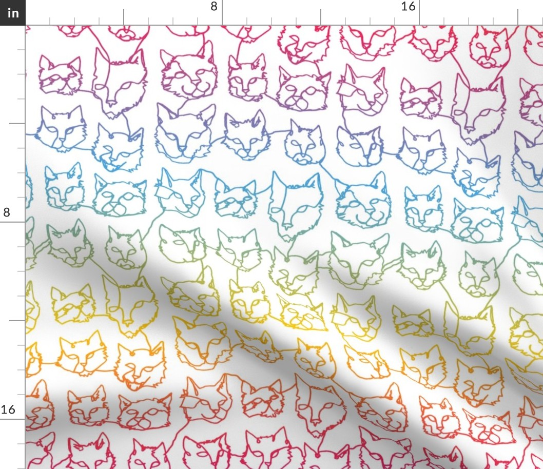 Contour Cats - Rainbow