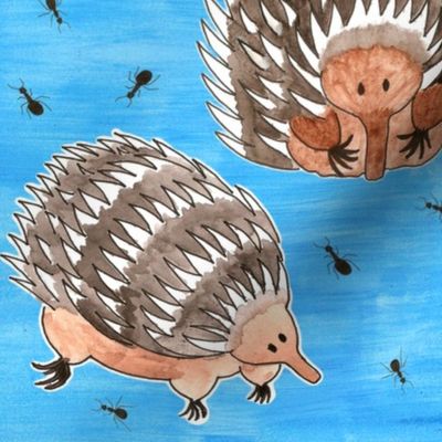 echidnas and ants