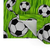 Soccer Balls Big and Small in Grass