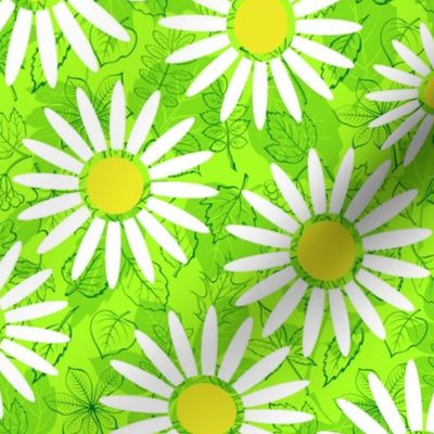 White Daisies on Green Leaves