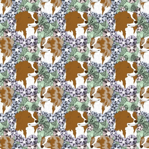 Floral Australian Shepherd bicolor portraits B