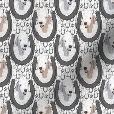 Small Bedlington Terrier horseshoe portraits