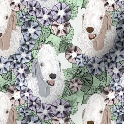 Floral Bedlington Terrier portraits