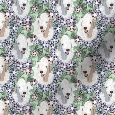 Small Floral Bedlington Terrier portraits