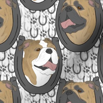 Fawn Bulldog horseshoe portraits