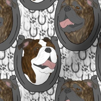 Brindle Bulldog horseshoe portraits