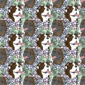 Floral brindle Bulldog portraits