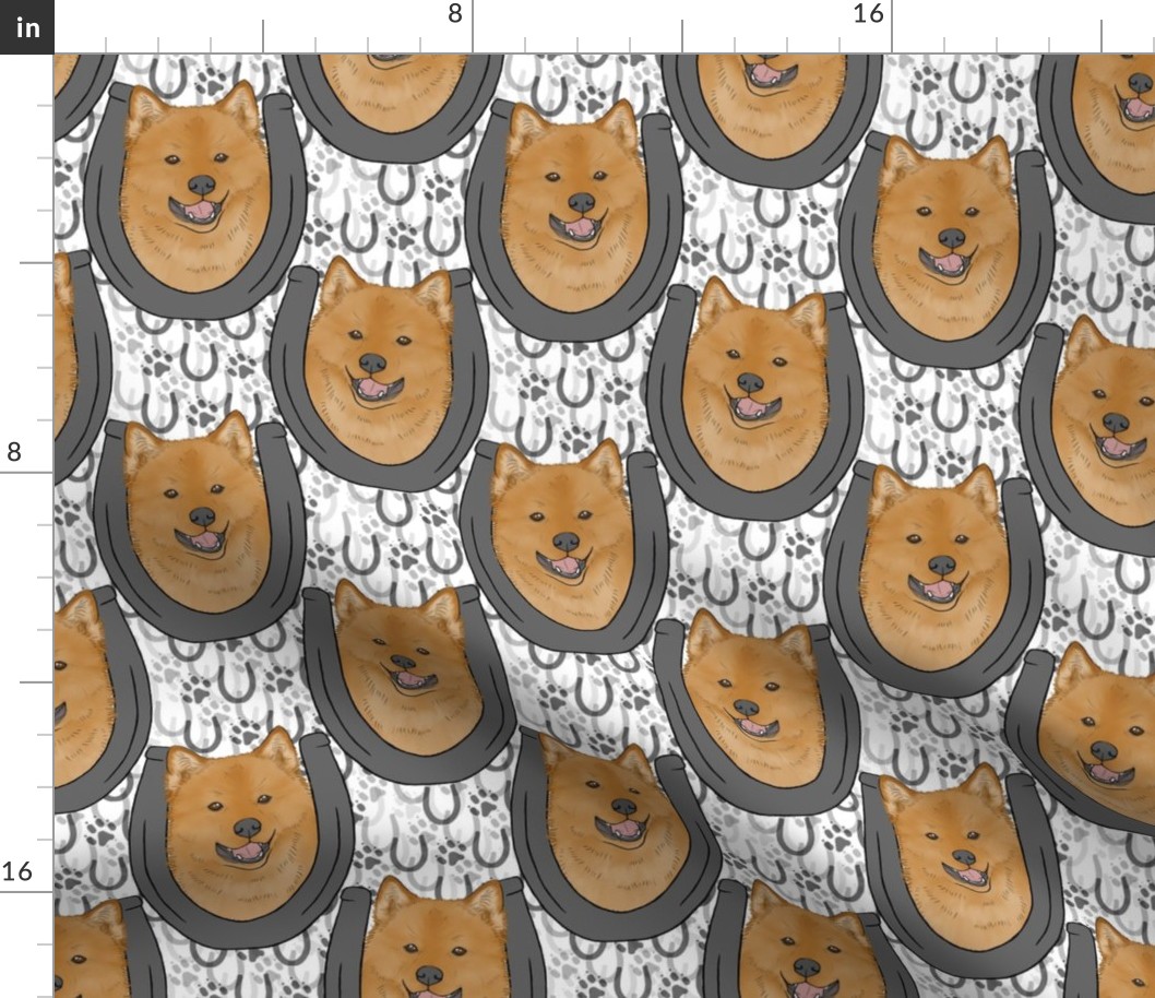 Finnish Spitz horseshoe portraits