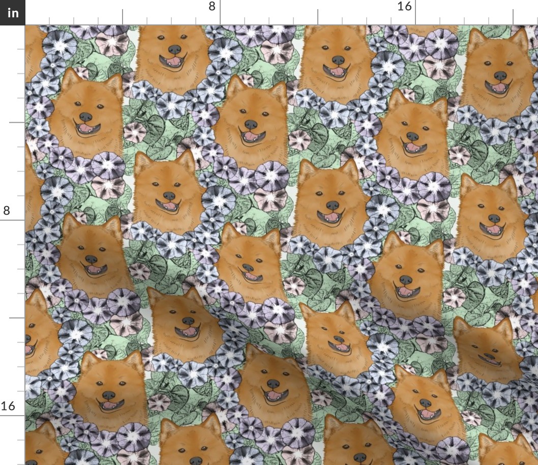 Floral Finnish Spitz portraits