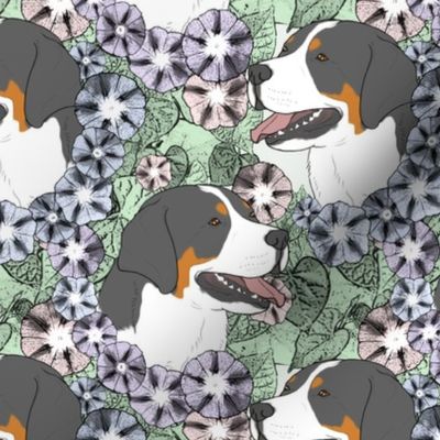 Floral Greater Swiss Mountain Dog portraits