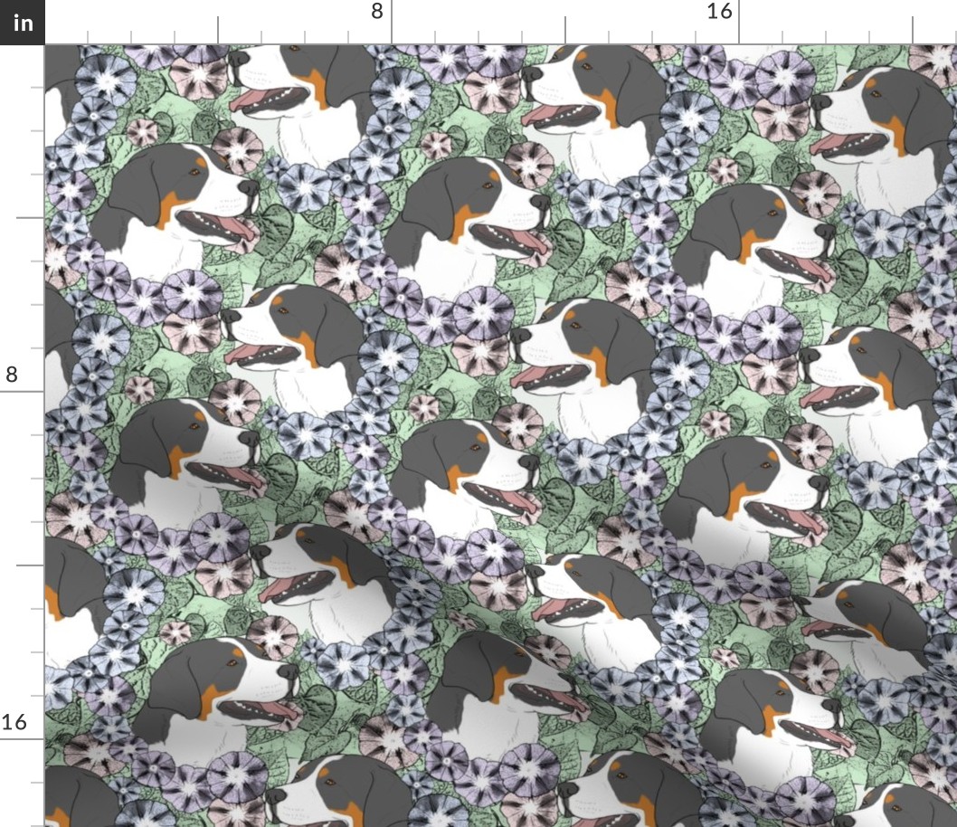 Floral Greater Swiss Mountain Dog portraits