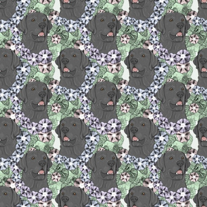 Floral black Labrador Retriever portraits