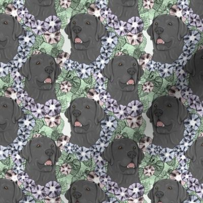 Small Floral black Labrador Retriever portraits