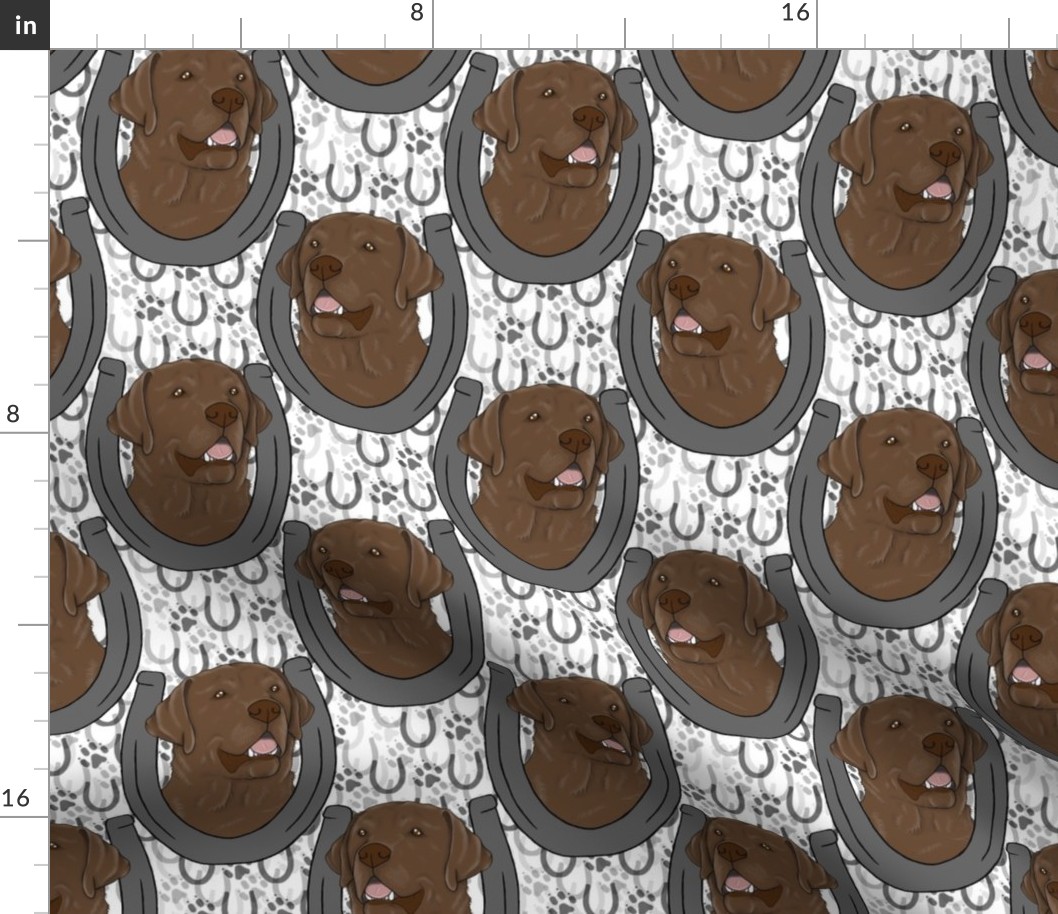 Chocolate Labrador Retriever horseshoe portraits