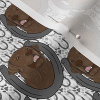 Small Chocolate Labrador Retriever horseshoe portraits