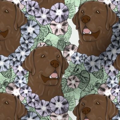 Floral chocolate Labrador Retriever portraits