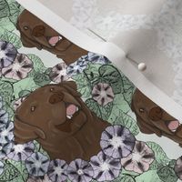 Small Floral chocolate Labrador Retriever portraits