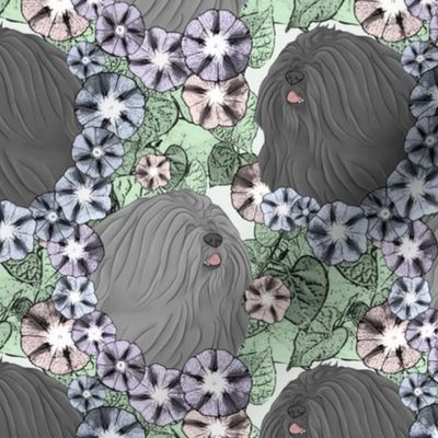 Floral Lhasa Apso black gray portraits