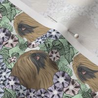 Small Floral Lhasa Apso fawn portraits