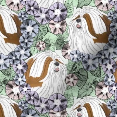 Floral Lhasa Apso white red portraits