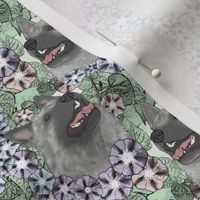 Small Floral Norwegian Elkhound portraits