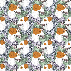 Floral Smooth coat Jack Russell terrier portraits
