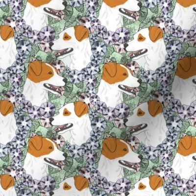 Small Floral Smooth coat Jack Russell terrier portraits