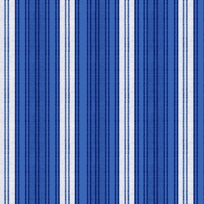 The Blues Stripes 5