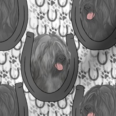 Gray Black Tibetan terrier horseshoe portraits