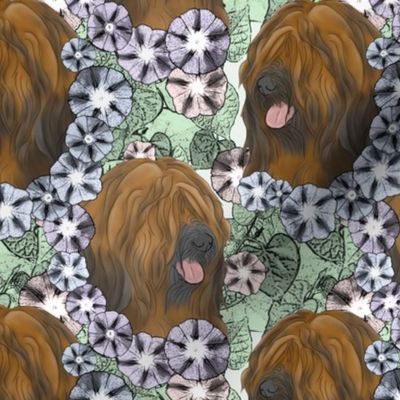 Floral Red Tibetan terrier portraits