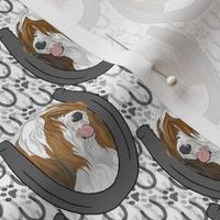 Small Red white Tibetan terrier horseshoe portraits