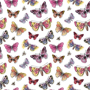 Watercolor Butterflies on White