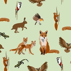 forest animals 2