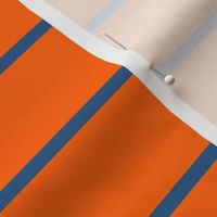 Stripe Orange and blue wide