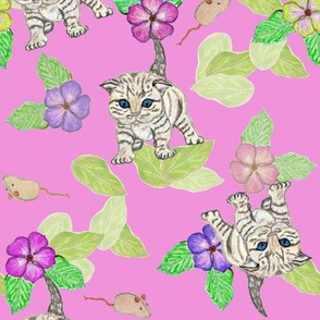 Tabby Kitten Diagonal Motif Pink BG