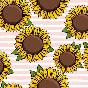 Sunflowers -  pink stripes