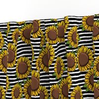 Sunflowers - black stripes