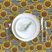 Sunflowers - black stripes