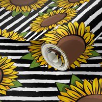 Sunflowers - black stripes