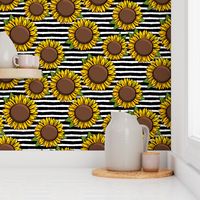 Sunflowers - black stripes