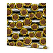 Sunflowers - black stripes