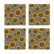 Sunflowers - black stripes