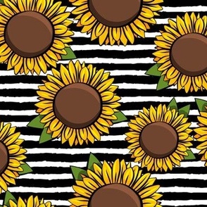 Sunflowers - black stripes